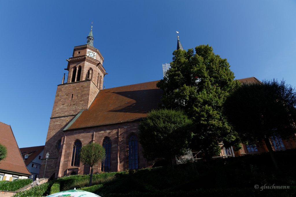 20140808_049